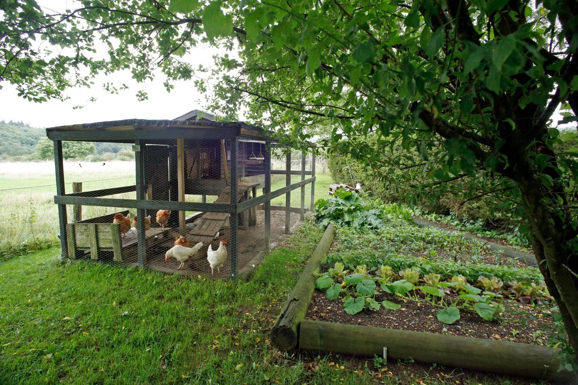 B&B Au Coq En Pate Jalhay Luaran gambar